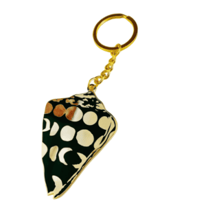 Cone Shell Key Chain